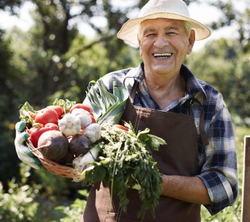 Produits frais chez producteurs locaux Nord Pas de Calai
