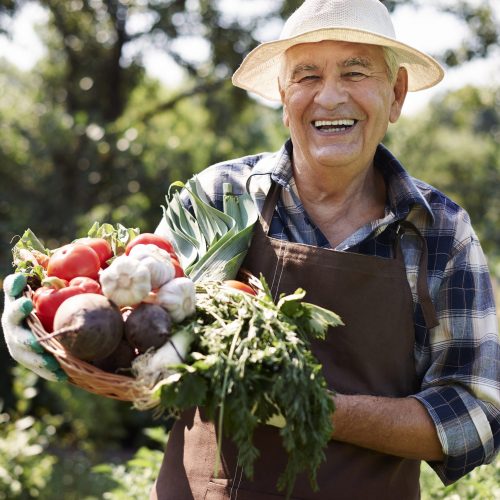 Produits frais chez producteurs locaux Nord-Pas-de-Calai Produits frais chez producteurs locaux Nord-Pas-de-Calai