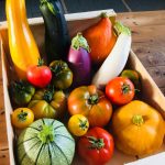 Les Jardins d&rsquo;Elims