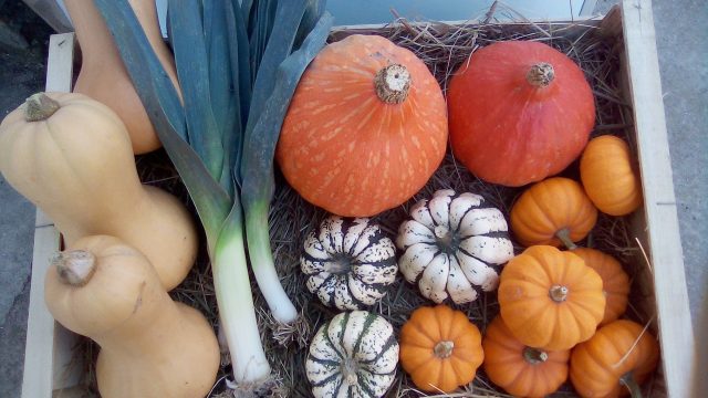 Ferme Rouzé Jean François-céline